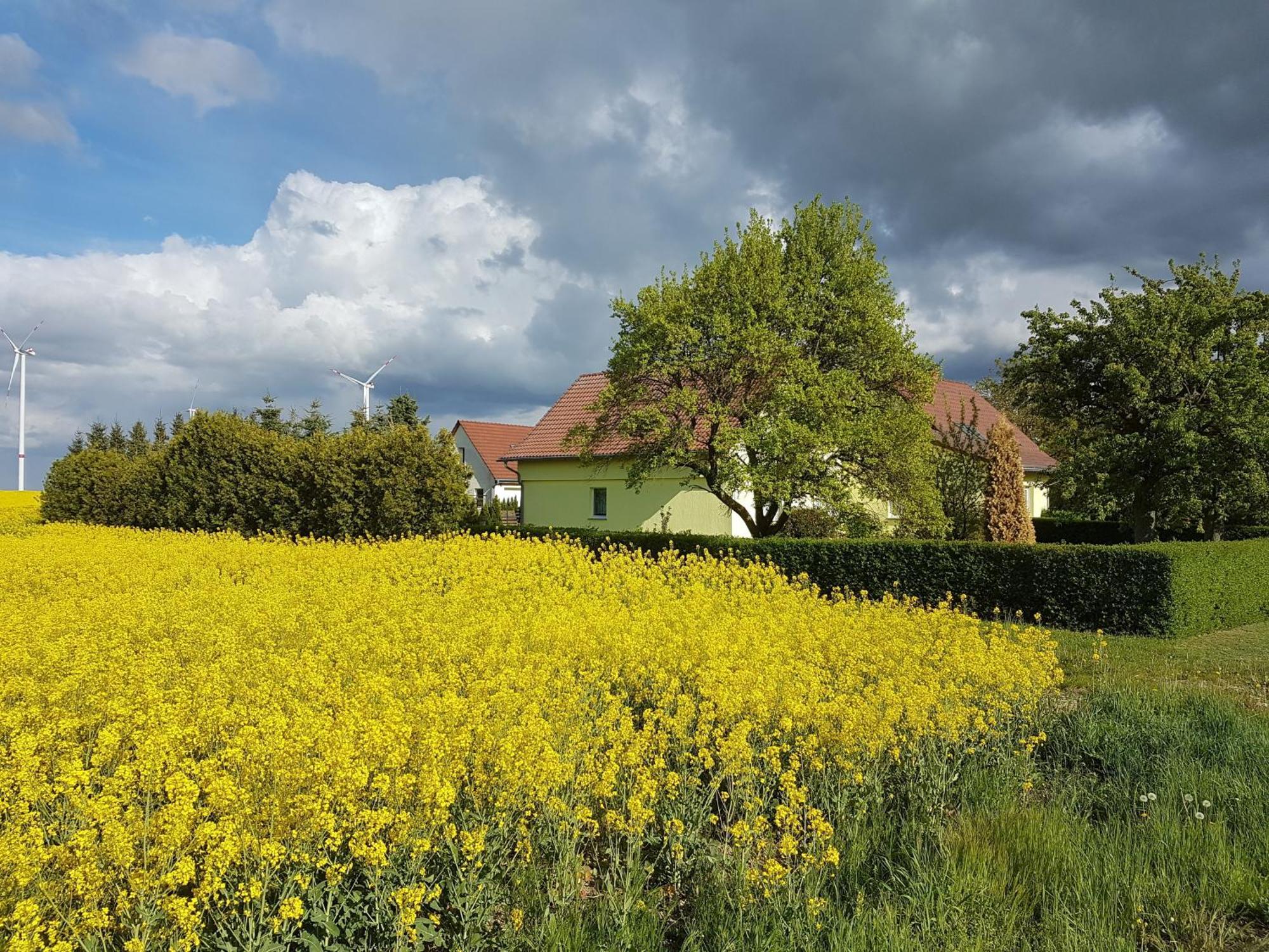Ferienhaus Uckermark Casekow Exterior foto